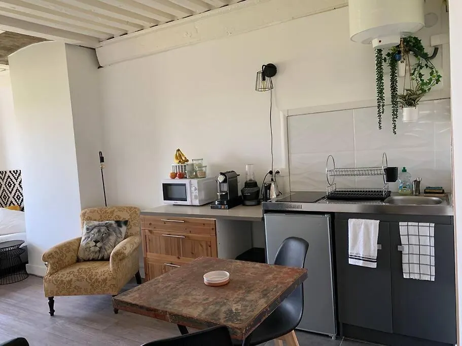 Appartement Chez Alam A L'Opera De Lyon