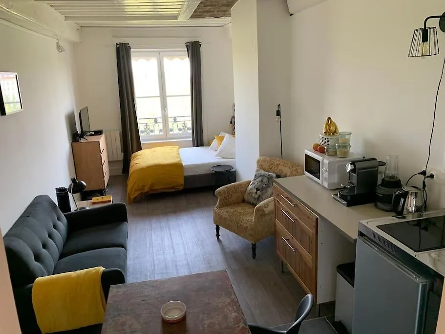 Chez Alam A L'Opera De Lyon Apartment France